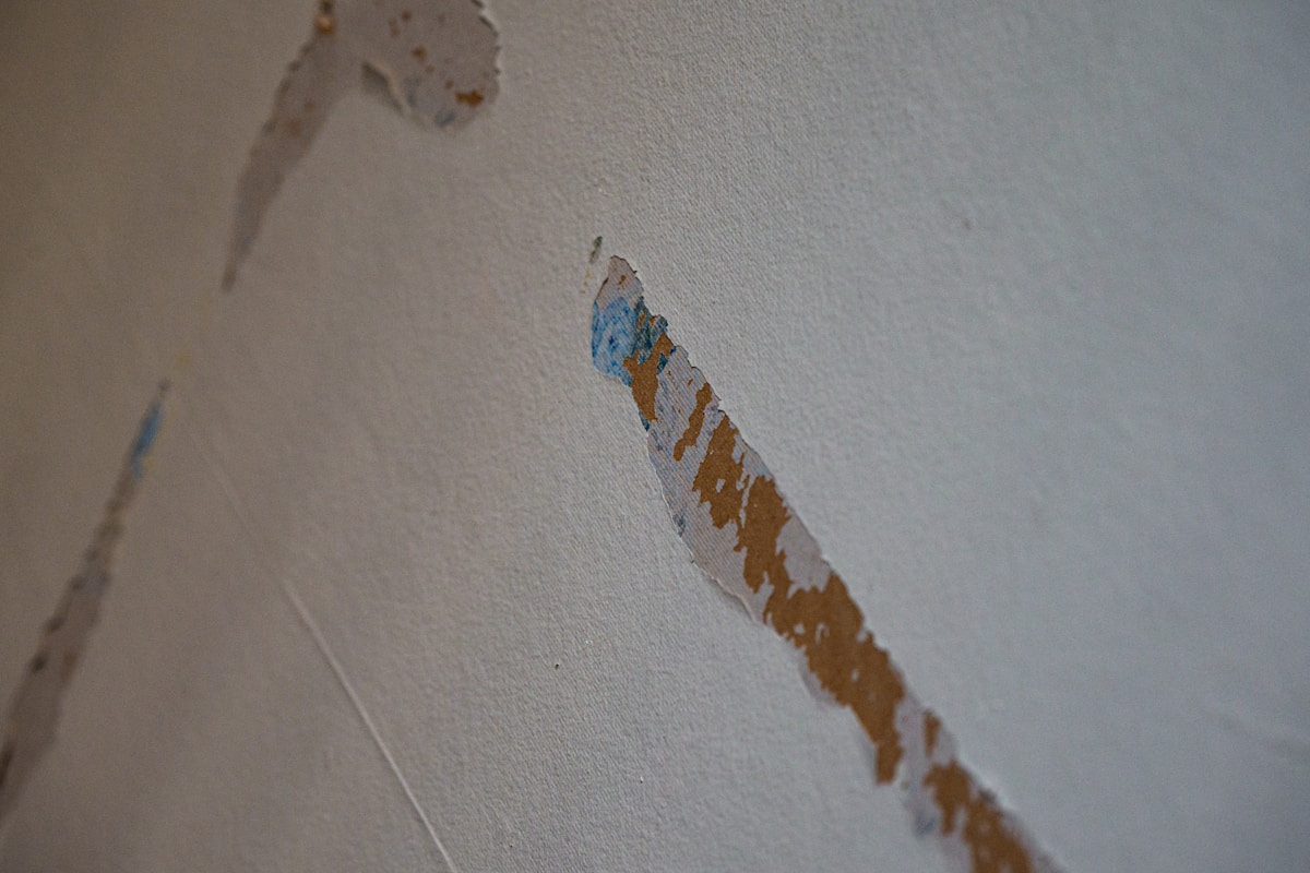 Commercial Water Damage service in Thousand Oaks, CA